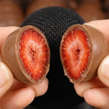 Freeze-Dried Strawberries Dipped in Belgian Milk Chocolate